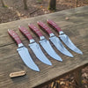 Handmade Drop Point Hunting Knife Set of 5-Piece Full Tang Blades with Red Resin Handles by JW SteelCrafts