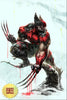 [FOIL] Ultimate Universe: One Year In #1 Unknown Comic Ivan Tao Exclusive Virgin Convention PREMIUM Var (12/11/2024) by Unknown Comic Books