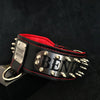 The "Kennel" collar- personalized! by Bestia Dog Gear