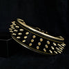 The "Gold Giant" collar by Bestia Dog Gear