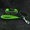 "Frenchie" Set- collar & leash. Green by Bestia Dog Gear