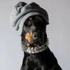 The "Metal" collar- personalized! by Bestia Dog Gear