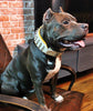 "Silver Giant" collar White by Bestia Dog Gear