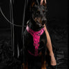 The ''Rock Python'' harness PINK by Bestia Dog Gear