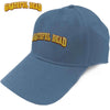 Grateful Dead Sunshine Daydream Logo [Hat] by Rock Band Apparel