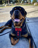 Bestia ''Bowtie'' leather harness by Bestia Dog Gear