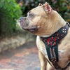 The ''Haunted'' harness LIMITED by Bestia Dog Gear
