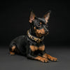 The Leopard Puppy Collar by Bestia Dog Gear