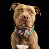 The “Ghostbuster” collar -LIMITED by Bestia Dog Gear