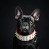 White "Frenchie" dog collar by Bestia Dog Gear