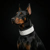 The ''Dragon Scale'' LIMITED collar exclusive design by Bestia Dog Gear