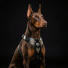 The Atlantis Harness by Bestia Dog Gear
