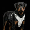 The ''Dragon Scale'' harness by Bestia Dog Gear