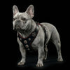 The ''Bijou'' harness Black & Red Small to Medium Size by Bestia Dog Gear