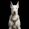 THE CANDY Harness by Bestia Dog Gear