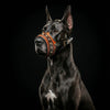The "Balteus" leather muzzle BROWN by Bestia Dog Gear