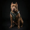 ''Bijou'' harness Black & Green for big dogs by Bestia Dog Gear