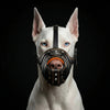 ''Eros'' Basket Muzzle black & orange by Bestia Dog Gear