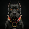 "The Incredibullz" Royalty Collar by Bestia Dog Gear