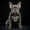 The "Metal" harness small to medium size - Personalized by Bestia Dog Gear