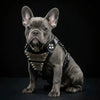 The "Metal" harness small to medium size - Personalized by Bestia Dog Gear