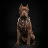 The "Aztec" big dogs harness BROWN by Bestia Dog Gear