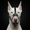 The "Hektor" muzzle by Bestia Dog Gear