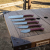 6-Piece Damascus Kitchen Knife Set — Bread, Chef, Santoku, Utility, Boning & Paring with Red Wood Handles by JW SteelCrafts