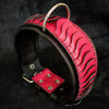 The ''Spine'' collar by Bestia Dog Gear