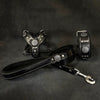 "Maximus Black&Silver" Small dog SET - Harness - collar - lead by Bestia Dog Gear