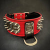 The ABKC Collar by Bestia Dog Gear