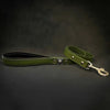 The "Eros" Green Leash 1 inch wide by Bestia Dog Gear