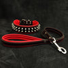"Frenchie" Set- collar & leash. Red by Bestia Dog Gear
