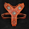 The "Eros" harness brown by Bestia Dog Gear