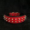 Red "Frenchie" collar by Bestia Dog Gear