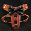 The "Bowtie" leather harness brown Small to Medium Size by Bestia Dog Gear