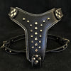 The "Rocky" studded leather harness Small to Medium Size by Bestia Dog Gear