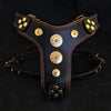 The ''Bijou'' harness Black & Orange Small to Medium Size by Bestia Dog Gear