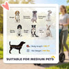 3 Wheel Pet Stroller with Easy One-Click Quick Fold, Mesh Window, Washable Cushion, for Medium Dogs by Furr Baby Gifts