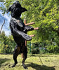 Irondog Harness by Bestia Dog Gear