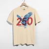 America 250 Eagle Graphic Tee – 2026 Patriotic Anniversary Unisex Shirt by Hey Jude Graphic Tees