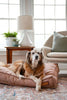 Lounger Pet Bed in Pittie Pink by Furr Baby Gifts