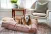 Lounger Pet Bed in Pittie Pink by Furr Baby Gifts