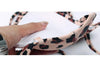 Leopard Bikinis Women Summer Swimsuit Strapless Bandage Bathing Suits Women's Halter Triangle Bikini Bottom Soft Two Piece Swimsuits Low Waist Push Up Bikini Set Swimwear by Stevvex