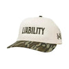 Liability