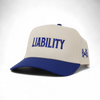 Liability