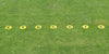 Line-Up Disc