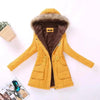 Luxurious Autumn Winter Women Cotton Jacket Padded Casual Slim Coat Emboridery Hooded Size 3XL Wadded Overcoat by Stevvex