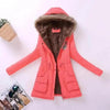 Luxurious Autumn Winter Women Cotton Jacket Padded Casual Slim Coat Emboridery Hooded Size 3XL Wadded Overcoat by Stevvex