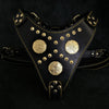 The "Maximus" harness black & gold by Bestia Dog Gear